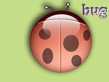 Ladybug, animal, abstract HD wallpaper