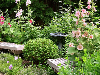 garden yard, yard, green, garden, nature, flowers HD wallpaper