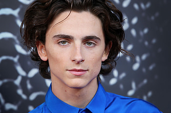 Stylish Celebrity for Background, Celebrity, Timothée Chalamet HD wallpaper