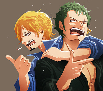Roronoa Zoro, Sanji (One Piece), Anime, One Piece HD wallpaper