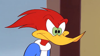 Woody Woodpecker, Cute illustration, Funny cartoon, Animated character HD wallpaper