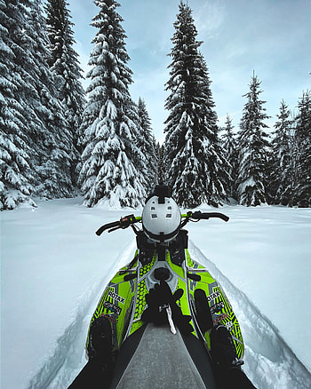Sports, Winter, Trees, Snow, Snowmobile HD phone wallpaper