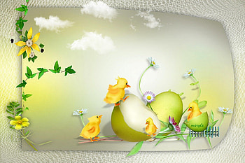 easter, chicken, duck, hen, spring, flower, 2013, yellow, nature, flowers HD wallpaper