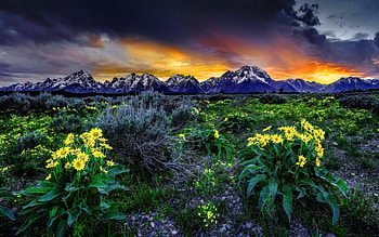 Field sunset, cloudy, colors, beautiful, rocks, nice, mountain, summer, field, nature, flowers, sky, lovely, sunset HD wallpaper
