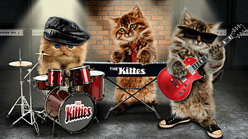 The Kittes, kitten, drum, guitar, cute, cat, band, pisica, creative, music, fantasy, sunglasses, red, funny, instruments, hat HD wallpaper