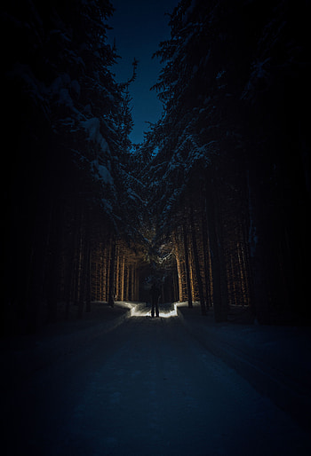 Trees, Snow, Dark, Silhouette, Road, Forest HD phone wallpaper