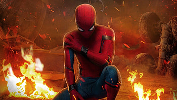 Tom Holland, Spider-Man actor, Marvel movies, Rising star HD wallpaper