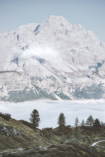 Nature, Trees, Mountains, Fog, Hills, Foot HD phone wallpaper