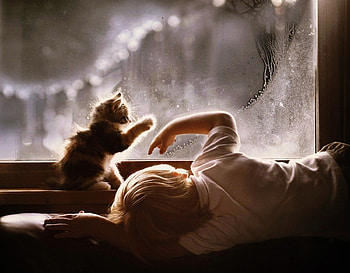 Sweetness, sweet, indoors, kiten, playing, boy HD wallpaper