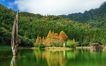 Mingchi National Forest,Taiwan, arbor, trees, autumn, nature, forest, lake HD wallpaper