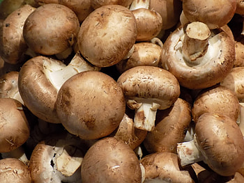 Scrumptious mushroom leftovers, Waste not, Want not, Delicious kitchen hack HD wallpaper