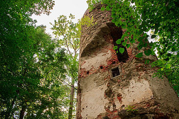 old tower, ancient, tree, old, wood, tower, green, nature, sky, bricks, sun HD wallpaper