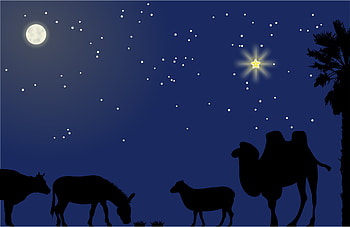 ... Cool Manger Scene Clipart of Nature- Full Backgrounds for HD wallpaper
