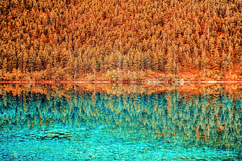 Nature, Trees, Lake, Reflection, r HD wallpaper