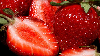 High definition, Ultra , Crisp , Enhanced visuals HD wallpaper