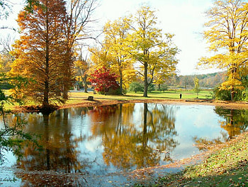 A PEACEFUL SERENE PLACE FOR A PICNIC, place, setting, gorgeous, beautiful, serene, picnic HD wallpaper