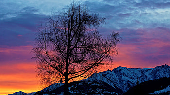 Big tree, sunrise, mountains, clouds HD wallpaper