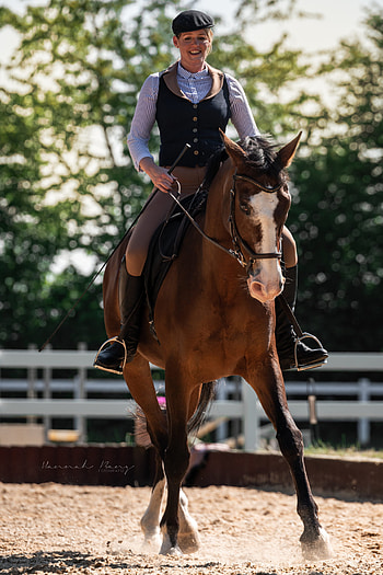 Vorreiter in gutem Reiten, Equestrian excellence, Riding inspiration, German equestrianism HD phone wallpaper