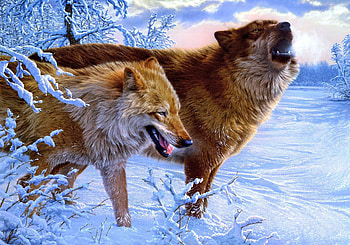 ღ.We are here in the Winter.ღ, winter, We are here in the Winter, dogs, cute, frosty, blue sky, scenery, painting, snow, animals, glanced, trees, couple, white trees, splendid, frozen, wolves, howl, cold, forests, beautiful, seasons, pretty, branches, cool, pair, smoke, clouds, nature, lovely, splendor HD wallpaper