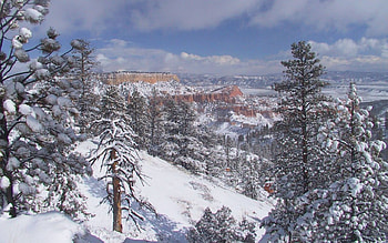 Snow, Winter, , Landscape, Tree HD wallpaper