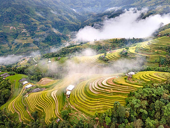 Terraces, field, green, nature, sky, mountain, tree, cloud HD wallpaper
