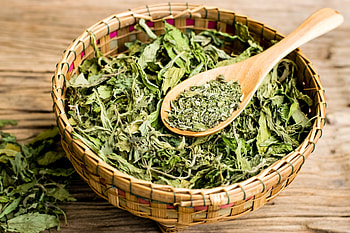 Dried, Stevia HD wallpaper