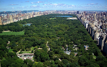 Central Park for and mobile, Versatile , Wide selection, Customizable backgrounds HD wallpaper