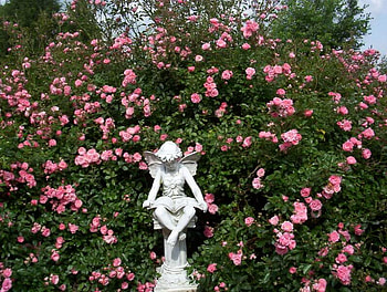 secret garden, decoration, roses, garden, flowers, bush, secret, statue HD wallpaper