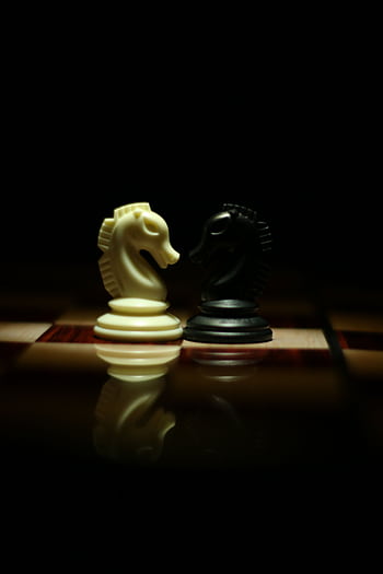 Intense close-up of black and white chess knights on a chessboard. Perfect for strategy themes. HD phone wallpaper
