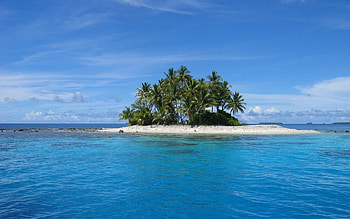 Landscape, Water, Sea, Beach, Palms HD wallpaper