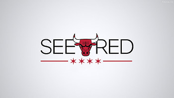 Chicago Bulls, Sports team, , Baltana HD wallpaper