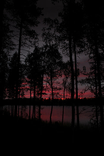 Trees, Twilight, Lake, Dark, Dusk HD phone wallpaper