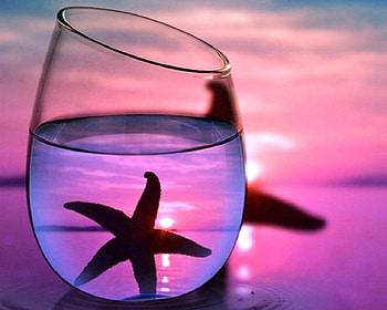 Fantastic Summer, seaside, sea, starfish, sunsets, beaches, attractions in dreams, paradise, colors, creative pre-made, summer, love four seasons, glass, nature HD wallpaper