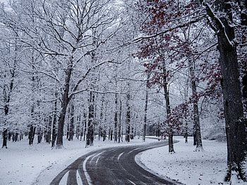 Winter, Nature, Trees, Snow, Road, Turn HD wallpaper