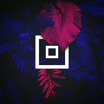 Leaves, Miscellanea, Miscellaneous, Color, Distortion, Geometric, Squares HD phone wallpaper