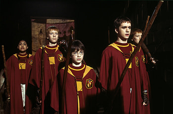 Quidditch, Quotes, Inspirational message, Love for the game HD wallpaper