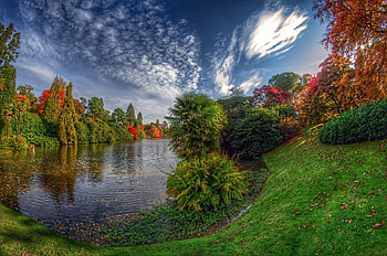 Autumn At The Park, Fall, bushes, Autumn, lake, park, England, Sussex, Sheffield Park, clouds, trees HD wallpaper