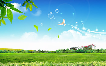 Peaceful Life HD wallpaper