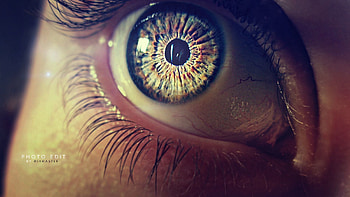 Macro, Eye, Pupil, Eyelash, Eyelashes HD wallpaper
