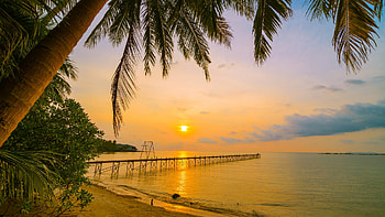 Tropical Sunset, beach, palm, colors, pier, trees, sky, sun HD wallpaper