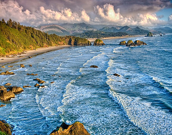 Cannon Beach, water, ocean, tree, beach HD wallpaper