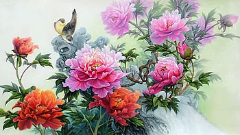 Peonies Tag - Flower Chinese Summer Painting Oriental Flowers Birds Bird Peonies for HD wallpaper