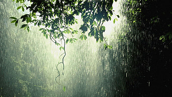 high resolution rain. rain for HD wallpaper