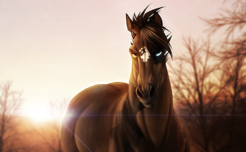 Horse Glowing Eyes, horse, animals, artist, artwork, digital-art, deviantart HD wallpaper