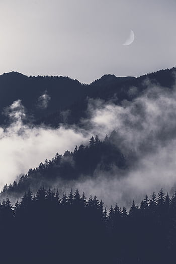 Dramatic mountain scene with fog, silhouetted trees, and crescent moon. HD phone wallpaper