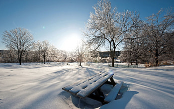 Winter, Nature, Sky, Sun, Snow, Shine, Light, Park, Table, Drifts, Benches, Cover, I See, Clear HD wallpaper