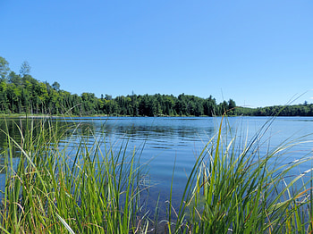 Tall Grass At White Duck Lake, graphy, Grass, Lake, Nature, Sky HD wallpaper