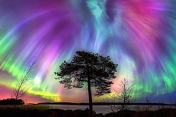 Aurora Fireworks, lakes, graphy, attractions in dreams, weather, trees, sky, nature HD wallpaper