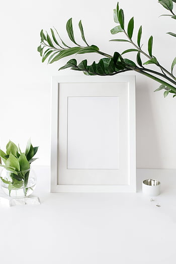 A clean, minimal desk setup with white frames and lush green plants for a fresh office vibe. HD phone wallpaper