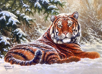 ..Tiger in Snowy.., winter, love four seasons, big wild cats, tiger, animals, snow, draw and paint, paintings HD wallpaper